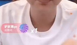 二子爷爆料驴爸视频播放,驴爸视频播放背后的惊人真相