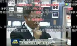 海安网友爆料新闻视频大全,新闻视频大全精彩回顾