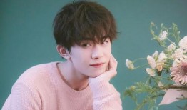 狗仔爆料易烊千玺视频播放,播放量激增引发热议