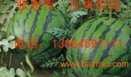 新瓜最新爆料潍坊,揭秘背后惊人真相